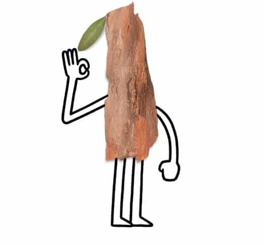 Allbirds Tree Runners Review - The best Allbirds? 4 Allbirds Tree Runner Review: made of trees