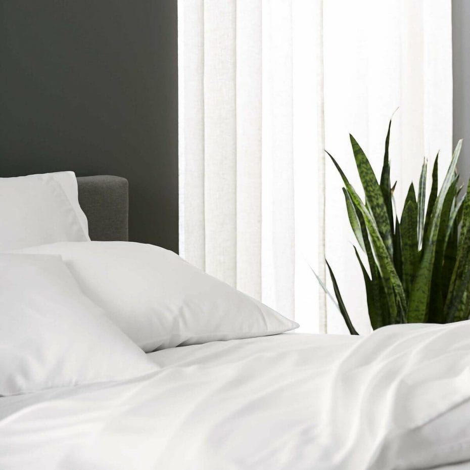 Sijo Eucalyptus Sheets