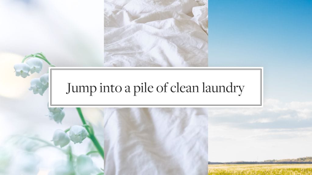The Laundress Reviews - We put 4 signature products to a dirty test 9
