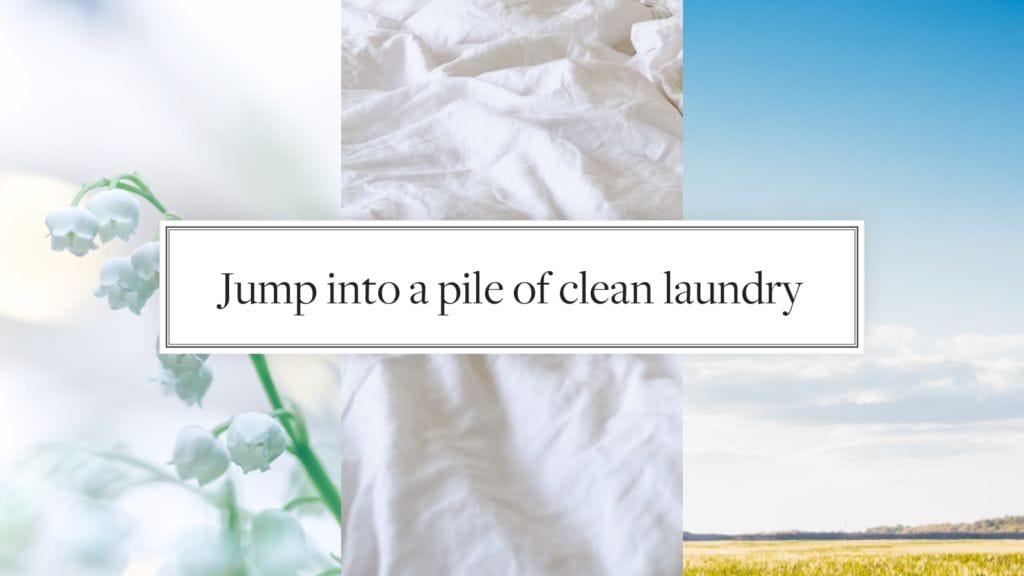 The Laundress Reviews - We put 4 signature products to a dirty test 10 The Laundress Reviews - We put 4 signature products to a dirty test 9