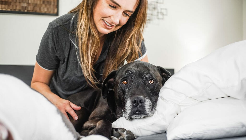 Wooflinen Review: 9+ Things We Love About Wooflinen Sheets 6 Wooflinen Review: 9+ Things We Love About Wooflinen Sheets 5