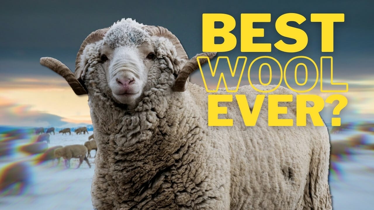 Duckworth Wool: The Best Merino Ever? Our Honest Duckworth Review 2