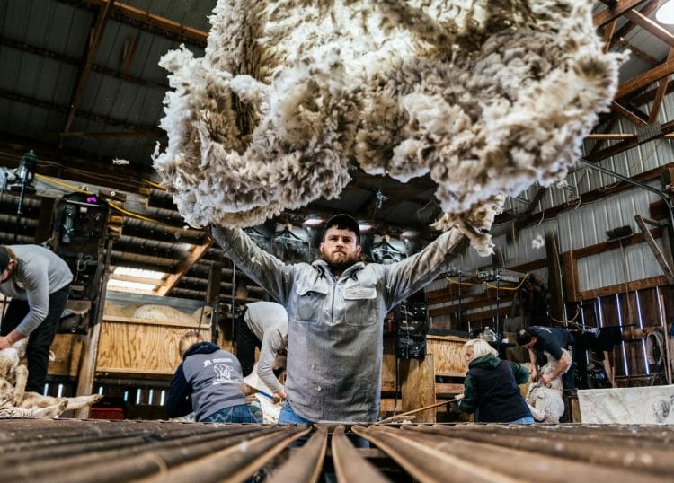Duckworth Wool: The Best Merino Ever? Our Honest Duckworth Review 5 Duckworth Wool: The Best Merino Ever? Our Honest Duckworth Review 4