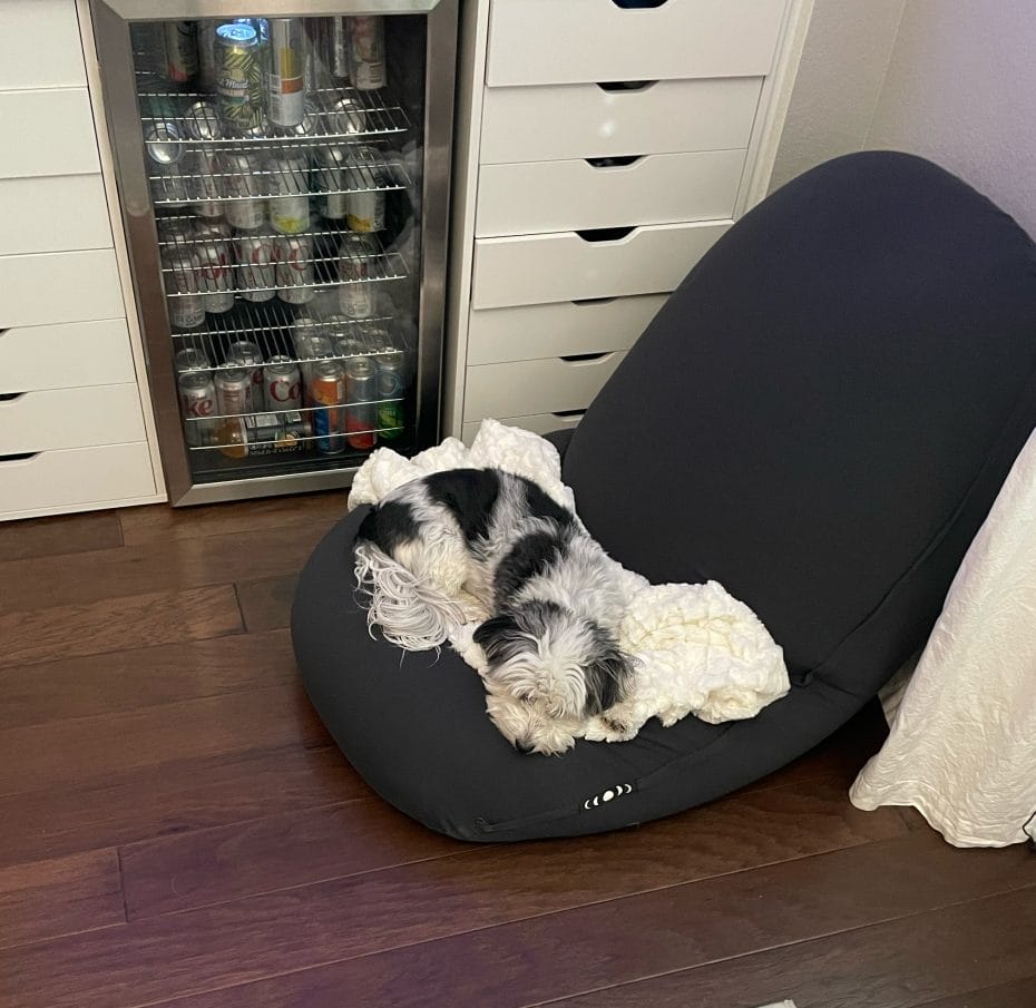 Moon Pod Review: A bean bag on steroids... or a bag o' beans? 7 Moon Pod Review: A bean bag on steroids... or a bag o' beans? 5