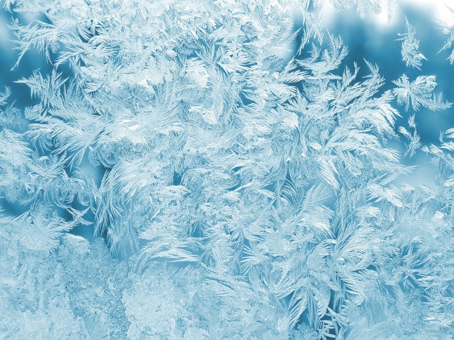 Public Rec Review | 4+ Years in the making 25 white feathers illustration