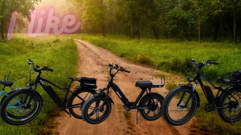 The Best Fat Tire eBike: We put 6+ eBikes to the ultimate test 1