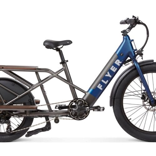 Radio Flyer Cargo eBike