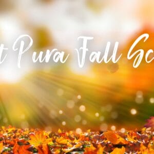 Best Pura Seasonal Scents