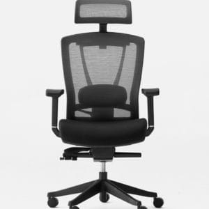 ErgoChair Pro