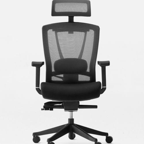 ErgoChair Pro